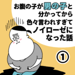 お腹の子が男の子と分かって色々言われすぎてノイローゼになった話①